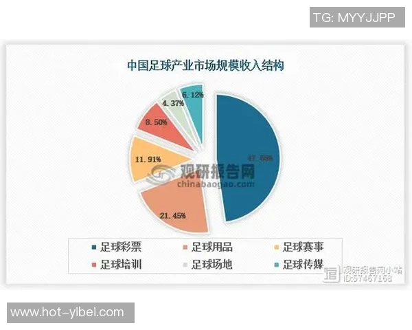 足球队转让市场分析与未来发展趋势探讨